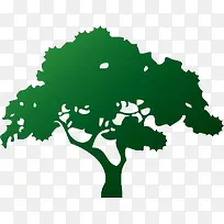 绿树剪影-空若网 绿树剪影-空若网