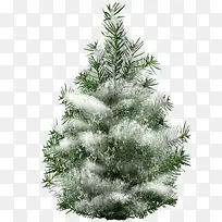 ��ɫ����-������