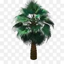 树-空若网 树-空若网