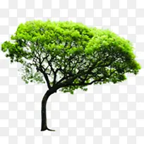 绿树景观绿化美景-空若网 绿树景观绿化美景-空若网
