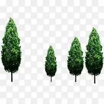 ÂÌÊ÷»·±£Ö²ÎïÂÌ»¯-¿ÕÈôÍø ÂÌÊ÷»·±£Ö²ÎïÂÌ»¯-¿ÕÈôÍø