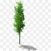 ����������ľ԰��-������