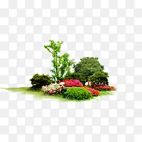 绿树树木园林植物-空若网 绿树树木园林植物-空若网