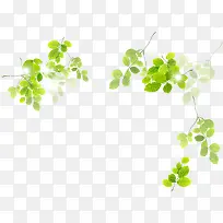 绿树景观树叶手绘-空若网 绿树景观树叶手绘-空若网