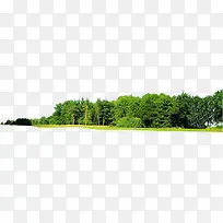 绿树园林植物美景-空若网 绿树园林植物美景-空若网