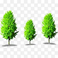 绿树美景景观植物-空若网 绿树美景景观植物-空若网