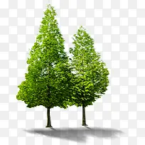 ����԰����������-������