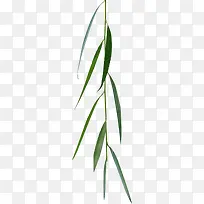 ������ľ԰�־���-������