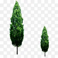 绿树景观美景园林-空若网 绿树景观美景园林-空若网