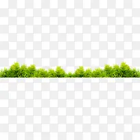 ��������԰��ֲ��-������