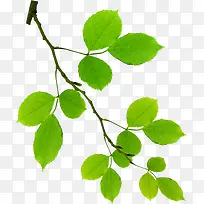 ÂÌÊ÷¾°¹Û·ç¾°ÃÀ¾°-¿ÕÈôÍø ÂÌÊ÷¾°¹Û·ç¾°ÃÀ¾°-¿ÕÈôÍø