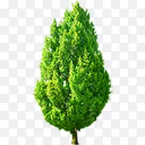田园绿树风光景观-空若网 田园绿树风光景观-空若网