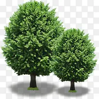 ����԰�־���ֲ��-������