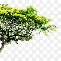 ����԰�־�������-������