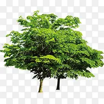 ��������԰���̻�-������