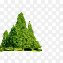 ��԰������������-������