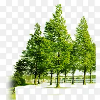 ����ֲ�ﾰ������-������