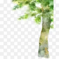 ÂÌÊ÷Âþ»ÒÕÊõ³¡¾°-¿ÕÈôÍø ÂÌÊ÷Âþ»ÒÕÊõ³¡¾°-¿ÕÈôÍø