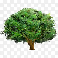 �ֻ���������羰-������