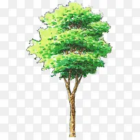 手绘绿色分层绿树-空若网 手绘绿色分层绿树-空若网