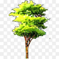 绘画绿树展架设计-空若网 绘画绿树展架设计-空若网