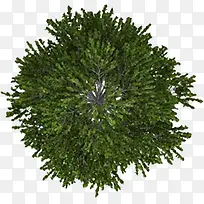 手绘园林绿树贺卡-空若网 手绘园林绿树贺卡-空若网