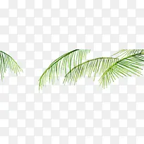 手绘夏日绿树简约-空若网 手绘夏日绿树简约-空若网