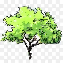 �����������԰��-������