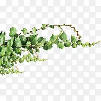 �ֻ���������ֲ��-������