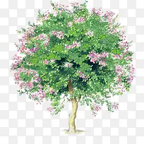 手绘绿树食品海报-空若网 手绘绿树食品海报-空若网