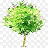手绘绿树春季海报-空若网 手绘绿树春季海报-空若网