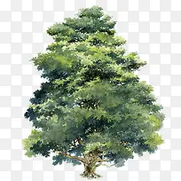 手绘绿树美景高大-空若网 手绘绿树美景高大-空若网