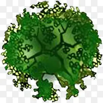 ����Բ������ƽ��-������