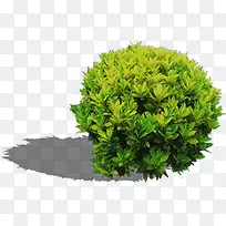 ������԰�������-������