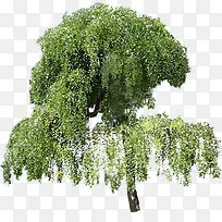 分层创意绿树景观-空若网 分层创意绿树景观-空若网