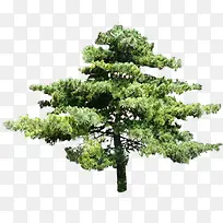 �ֲ������������-������