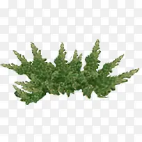 ���������������-������