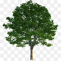 ԰��������������-������