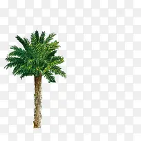 绿树景观美景创意-空若网 绿树景观美景创意-空若网