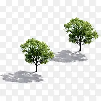 绿色春日环保绿树-空若网 绿色春日环保绿树-空若网