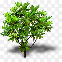 美景绿树设计效果-空若网 美景绿树设计效果-空若网