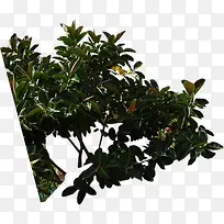 绿树地产商业海报-空若网 绿树地产商业海报-空若网