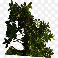 �������ز�չ��-������