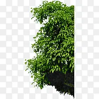 绿树欧式花园素材-空若网 绿树欧式花园素材-空若网