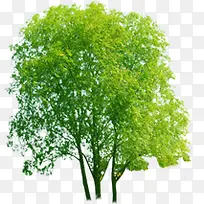 �ߴ�������������-������