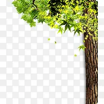 ����������������-������