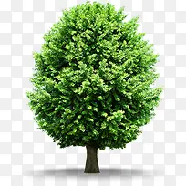 ����ҽԺչ��ͼƬ-������