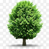 绿树医院海报设计-空若网 绿树医院海报设计-空若网