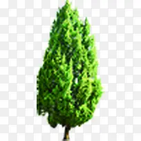 绿树主题医院海报-空若网 绿树主题医院海报-空若网