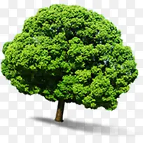 绿色高清绿树春天-空若网 绿色高清绿树春天-空若网
